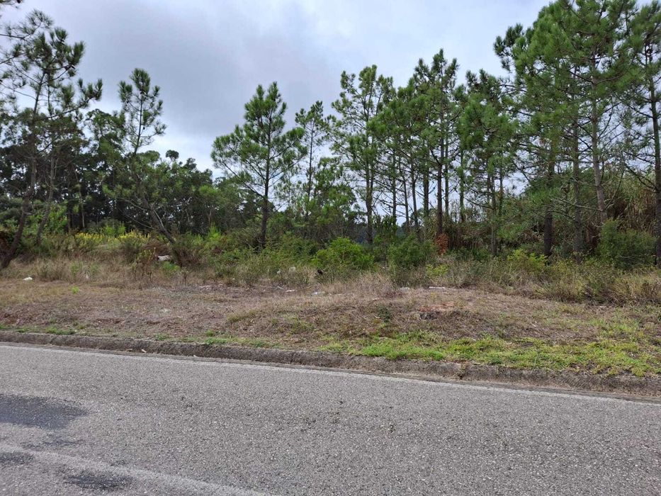 Terreno na Figueira da Foz
