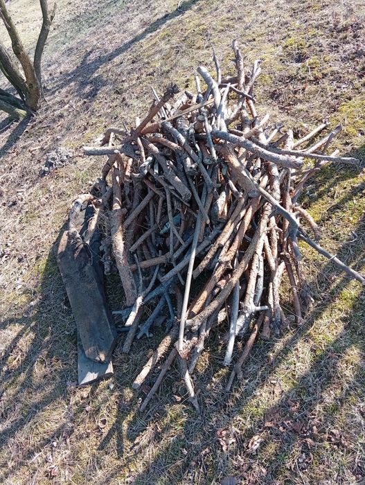 Oddam drewno opałowe