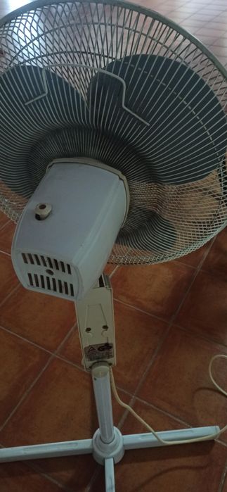Ventoinha de pé Fancy