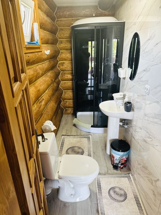 Деревяний будиночок біля термальних вод Косино