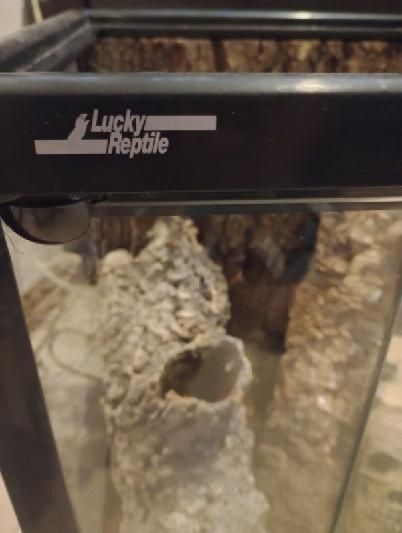 Terrarium szklane 30 x 30 x 45