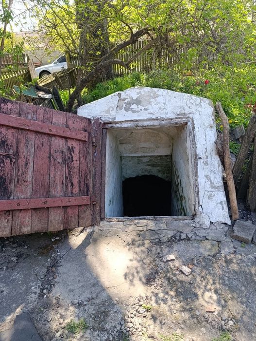Продам будинок  село П'ятка