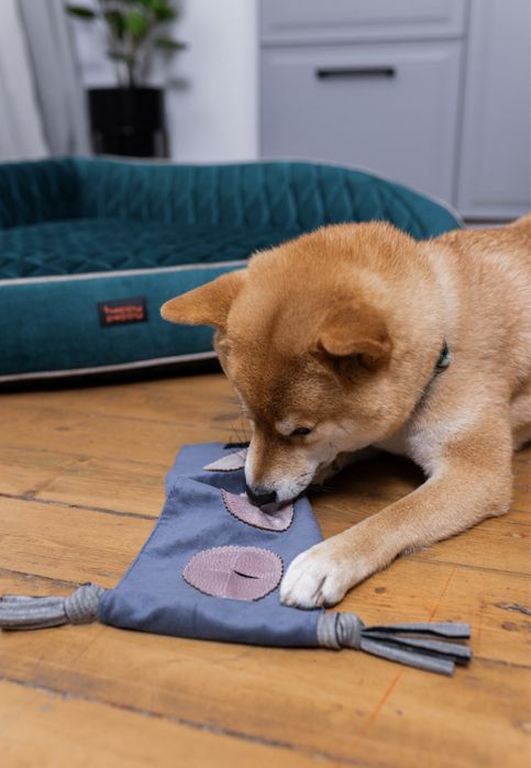 Лежак для собаки. Петбед нірка. Портативний килимок. Лежанки