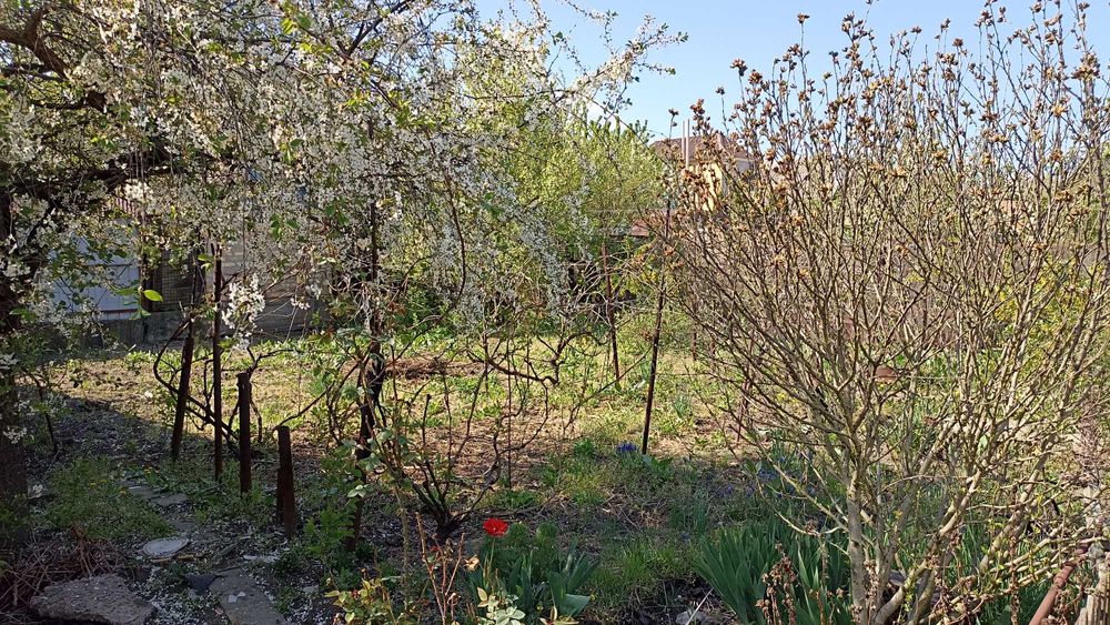 Продам житловий будинок