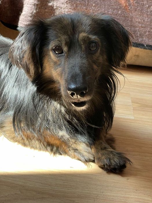 Малюк Блек! Хлопчик друг! 1 рік