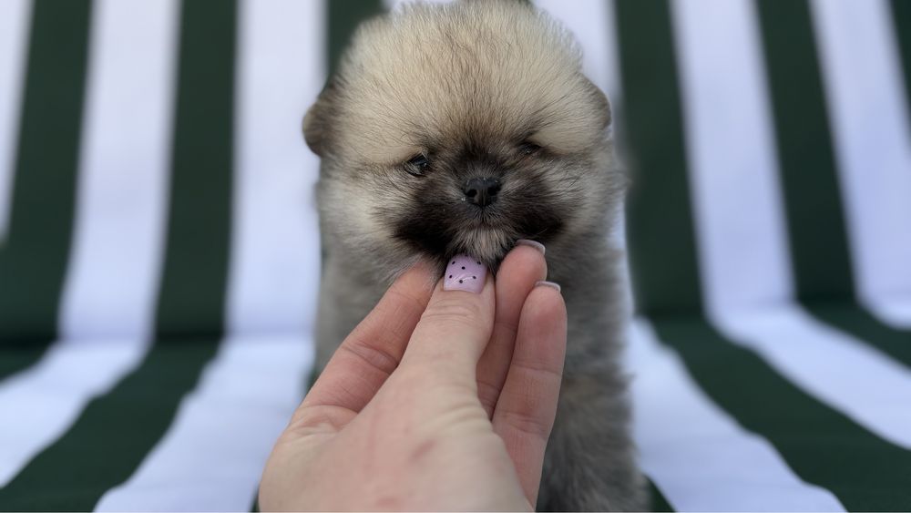 Манюня хлопчина