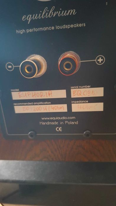 Equilibrium Euphoria