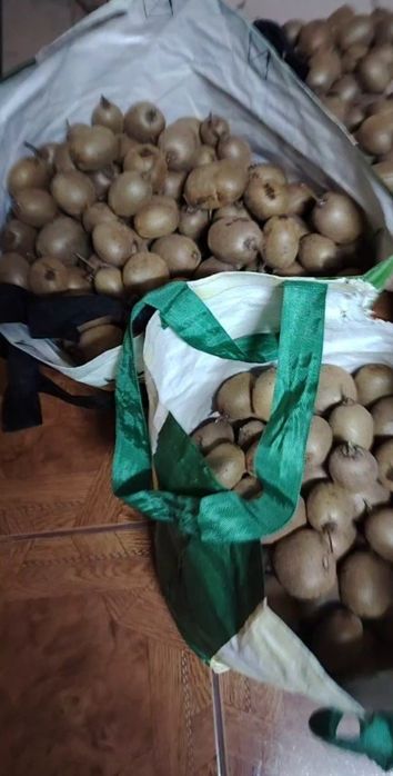 Vendo kiwi biológicos 0 produtos.