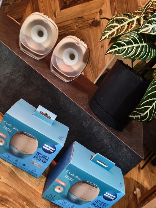 Dwa Laktatory Canpol Babies muszlowe do stanika