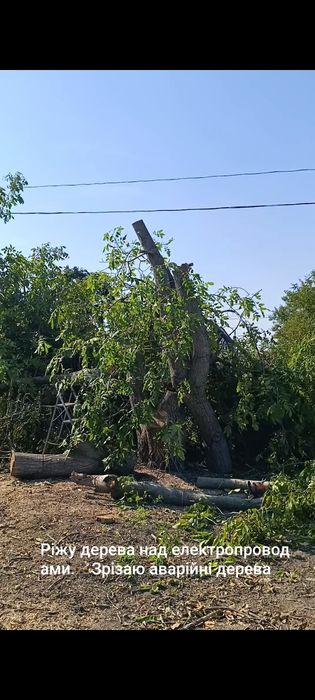 Зрізаю дерева, рубаю дрова професійно
