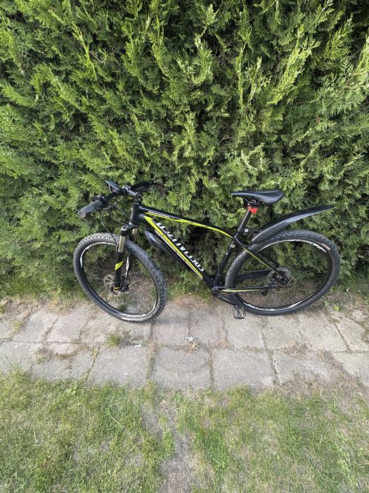 Specialized rockhopper expert 29