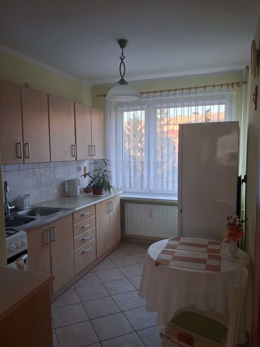 2 pokojowe mieszkanie do wynajęcie