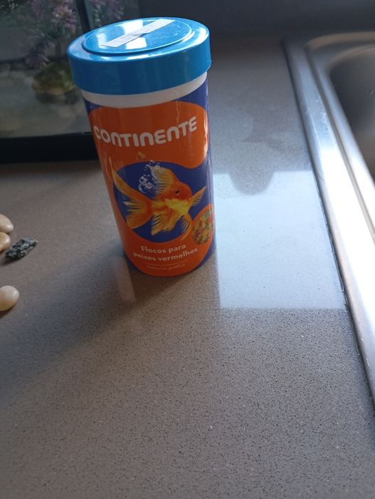 Aquário de 50 Litros