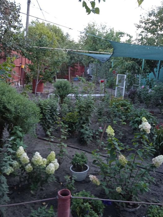 Сдам дом с 15.сентября левый берег анд рацон