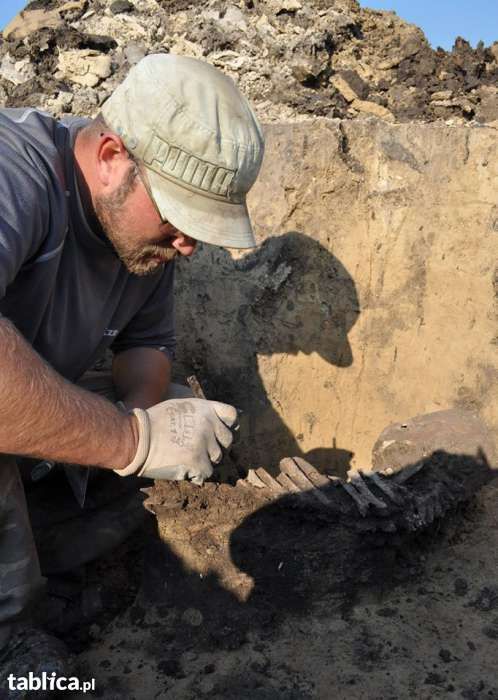 Archeolog, nadzory archeologiczne, wykopaliska