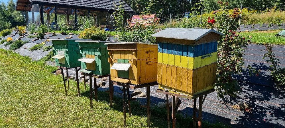 Sprzedam ULE ul wielkopolski