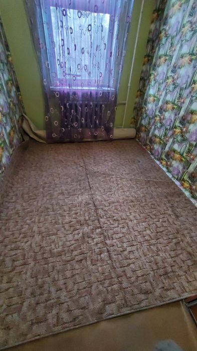 Ковёр 250/400 Ушинского 7 (за весь)
