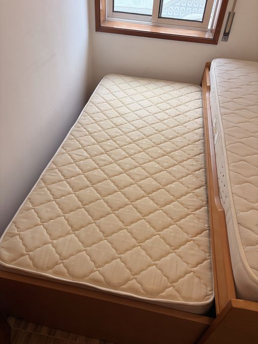 Cama Nido Dupla e Estante de Madeira  Maciça — Conjunto Juvenil Completo