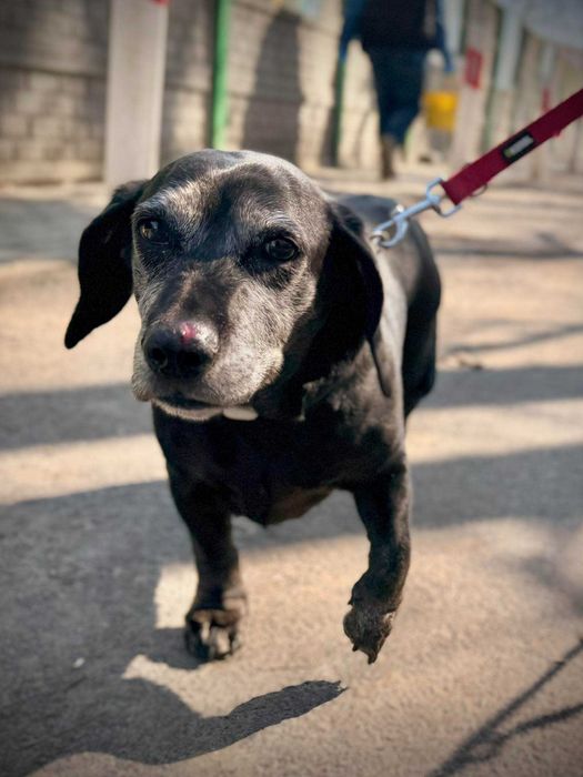 Polka do pokochania!