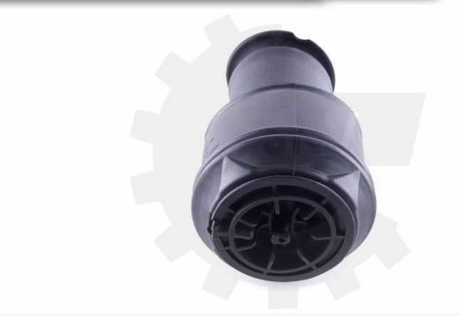 Fole Pneumático Traseiro Citroen C4 Grand Picasso