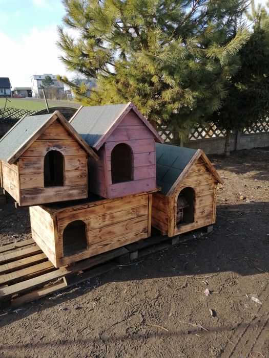 Budy dla psów, małe i duże