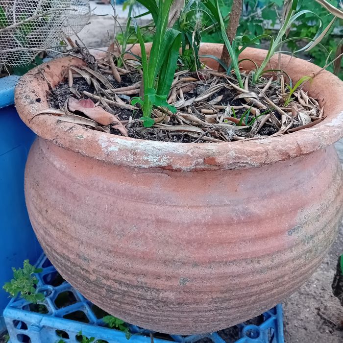 Pote terracota - aproximadamente 36 cm diâmetro