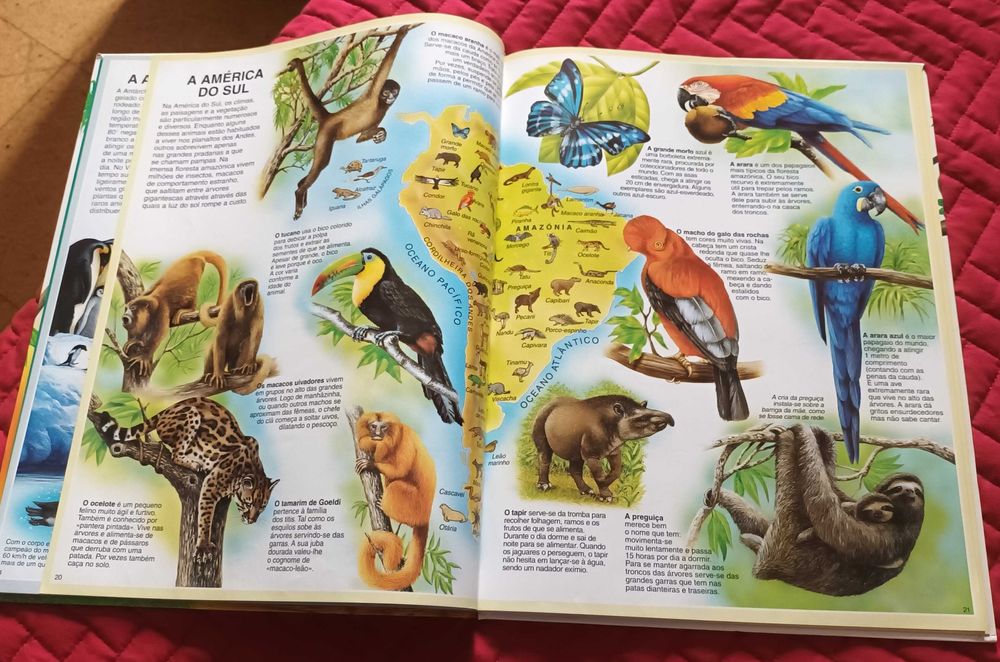 Livro - Atlas dos Animais