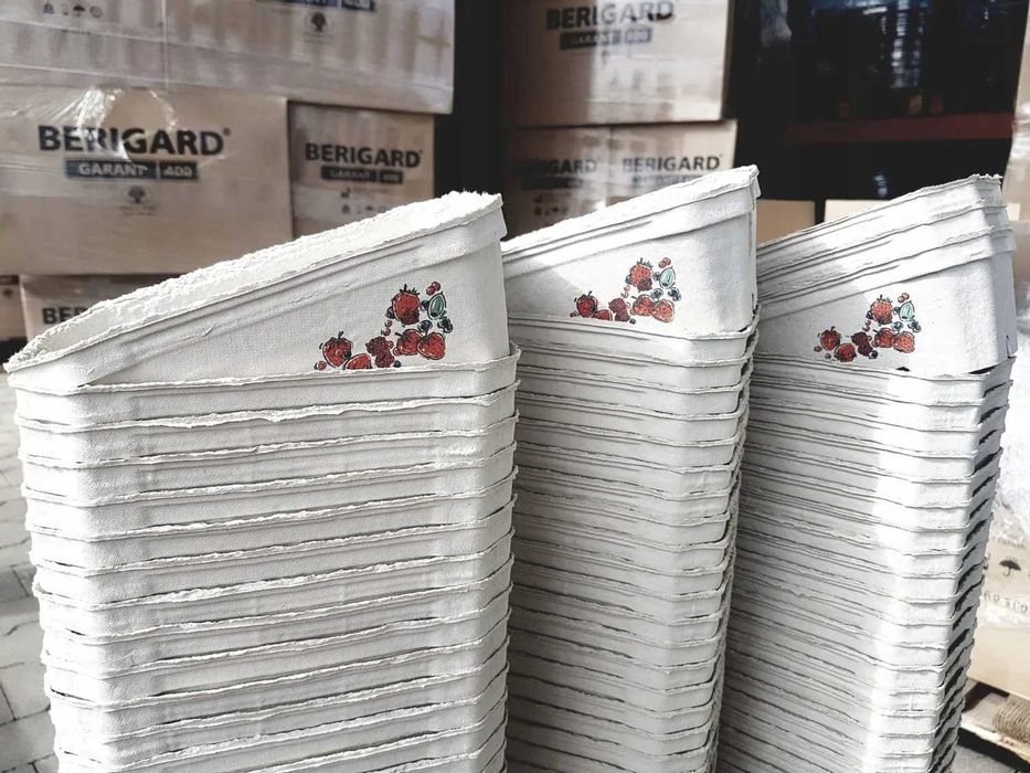POJEMNIKI NA MALINY 500g BERIGARD 400 szt fruit pack