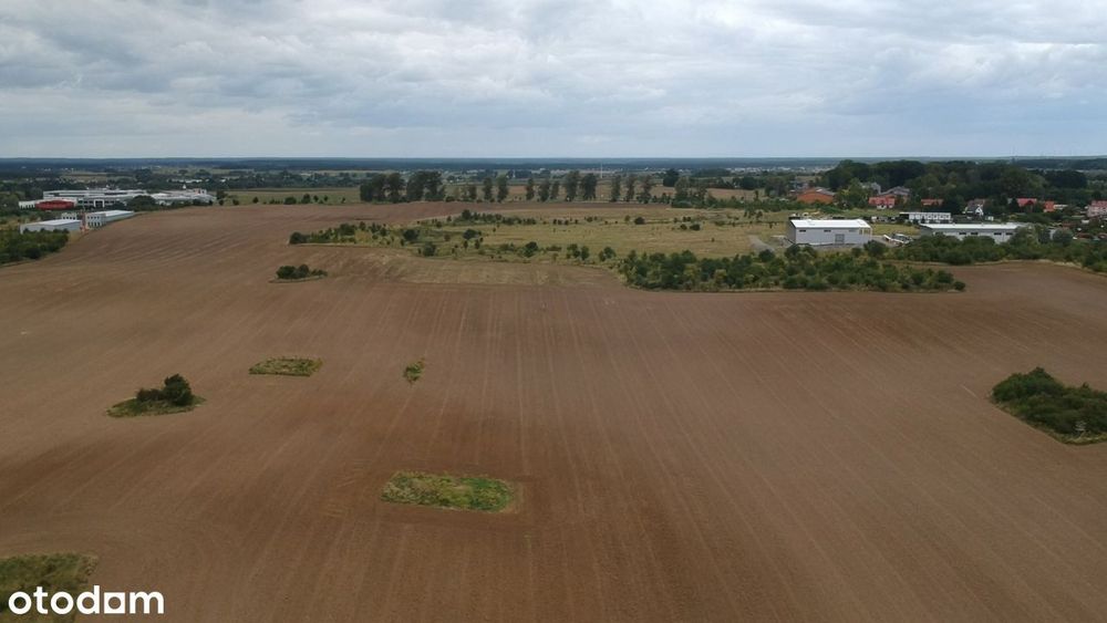 Wydane WZ (hale 3300 m2) + Strefa Gospodarcza w Planie Ogólnym!