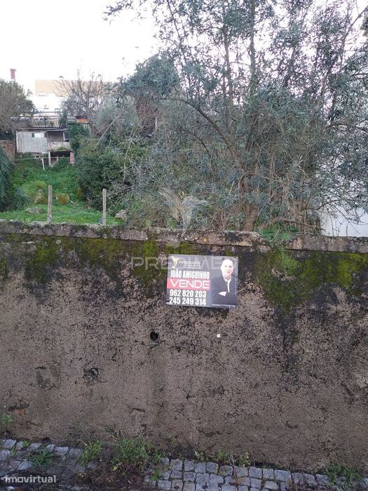 Terrena São Bartolomeu