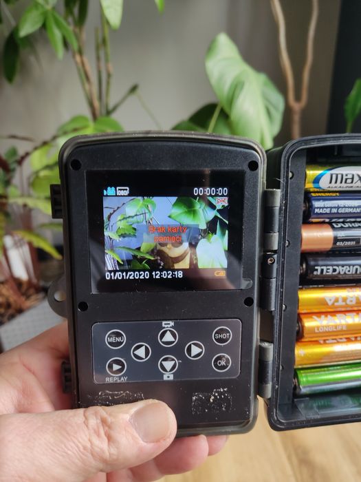 Foto pułapka kamera