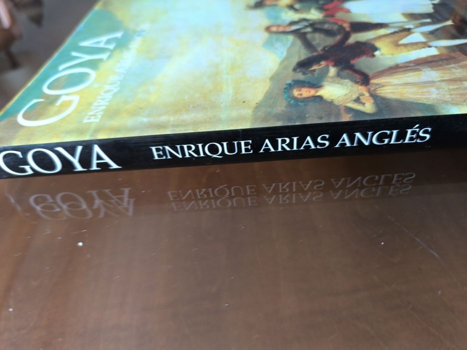 Livro Goya - Enrique Árias Anglés
