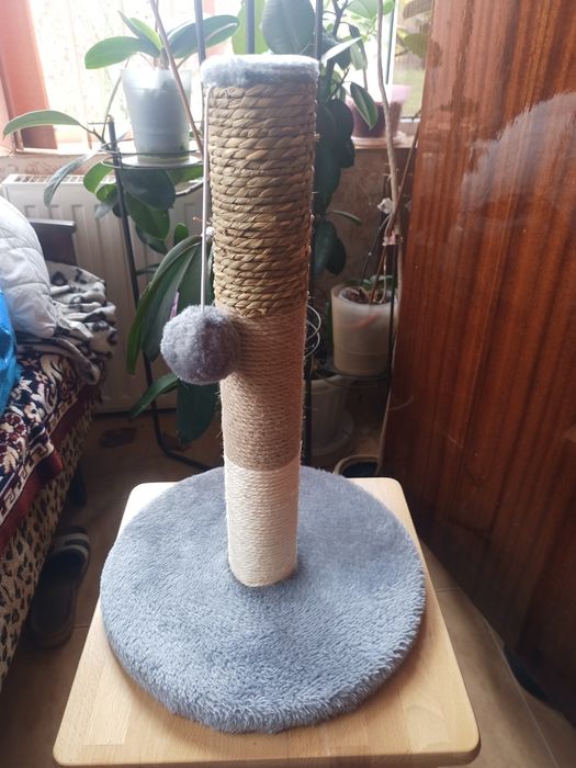 Когтєточка для котів