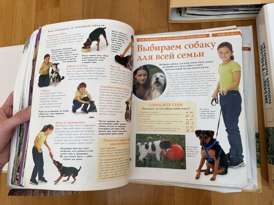 Коллекция журналов «Животные нашей планеты»