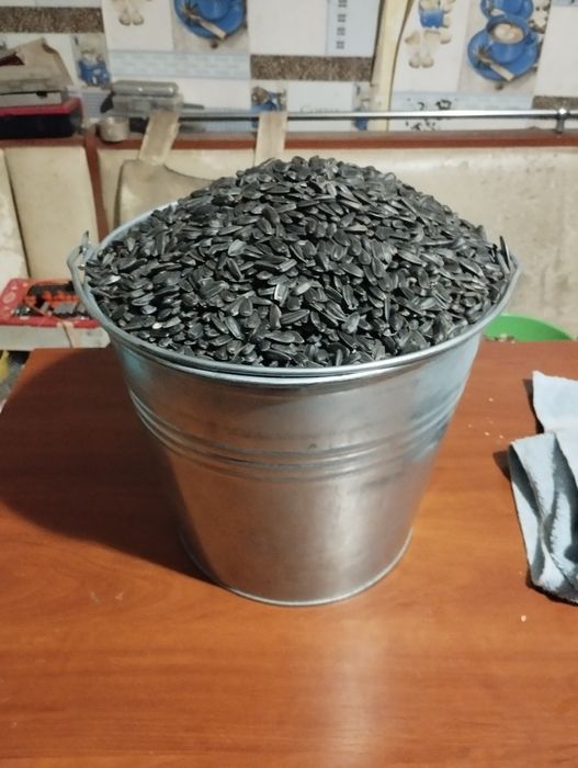 Кондитерське насіння  соняшнику  для смаження