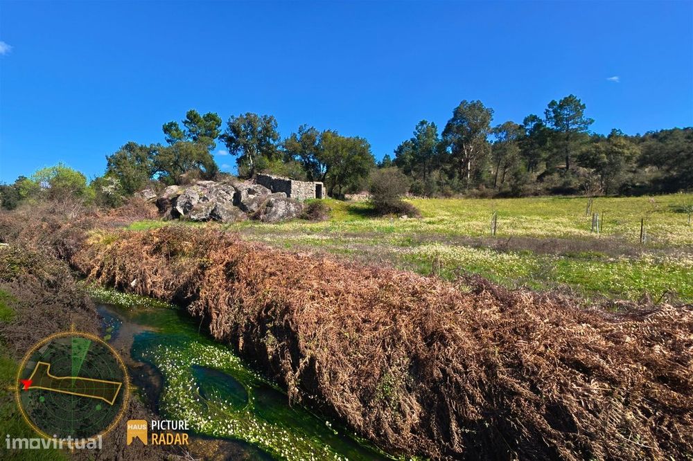 Terreno 1.1ha com Ruína e Vale Fértil | Cafede, Castelo Branco
