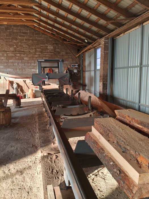 trak taśmowy trak-met ttp600 premium taśmówka nie wirex wood  mizer