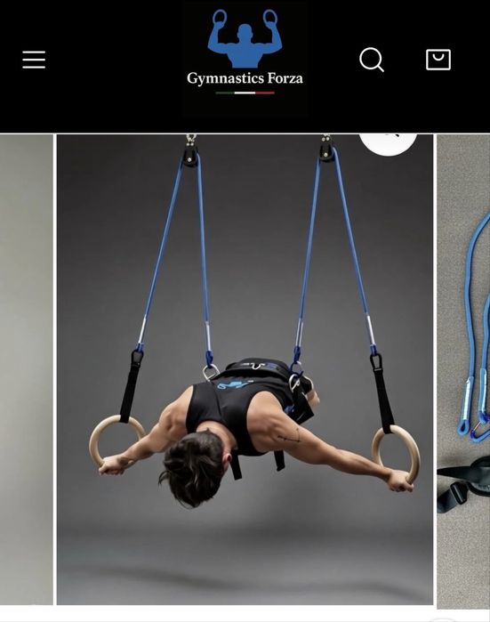 Argolas profissionais + cinto forza system (retira peso)