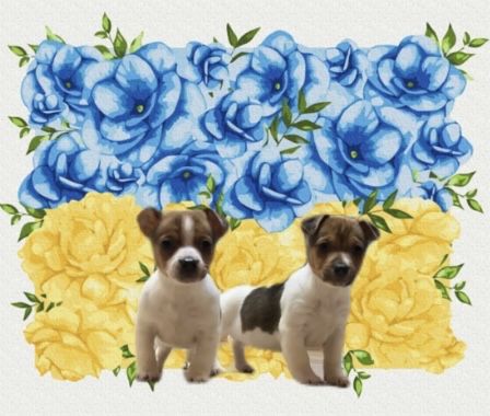 Чудові хлопчики та дівчатка