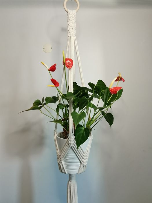 Suporte para plantas em macrame