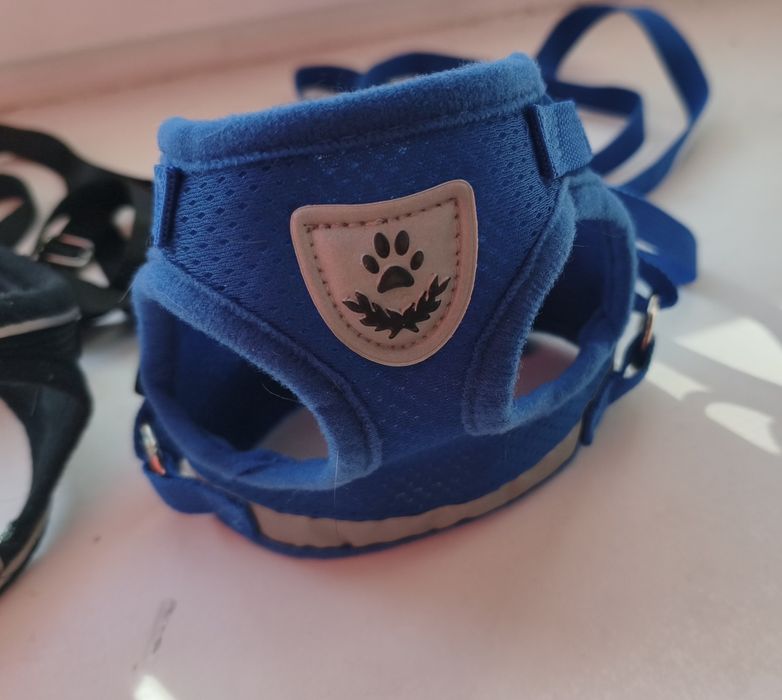 Шлейка для маленьких собак