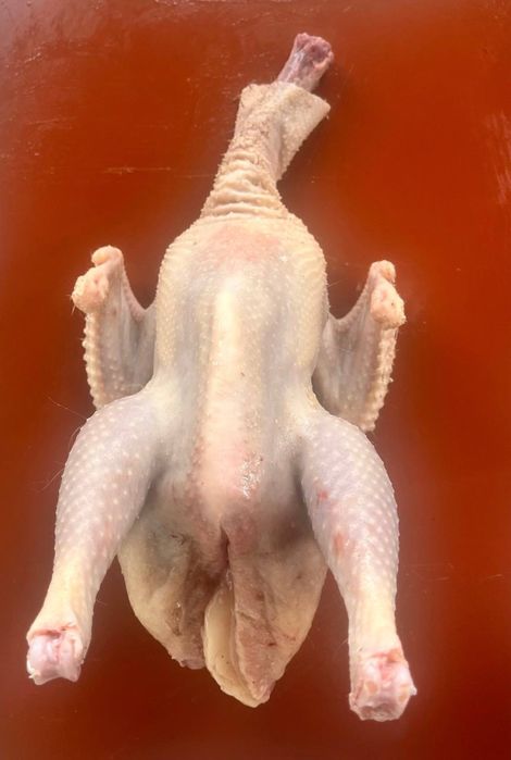 Курка несушка! Курка до бульйону! Є кількість