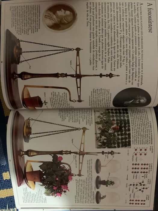 Enciclopédia da Ciência - Juvenil