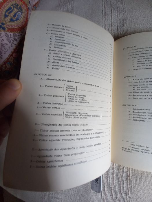 Dois livros antigos sobre vinhos