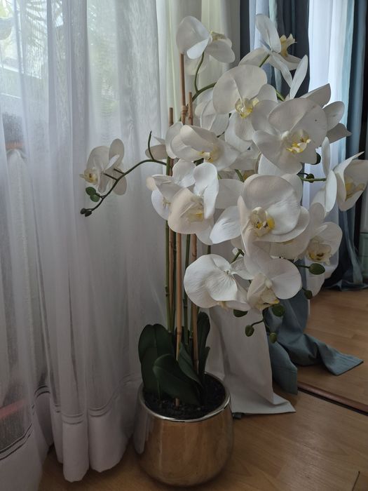 Orchidea biała storczyk duży Home&you