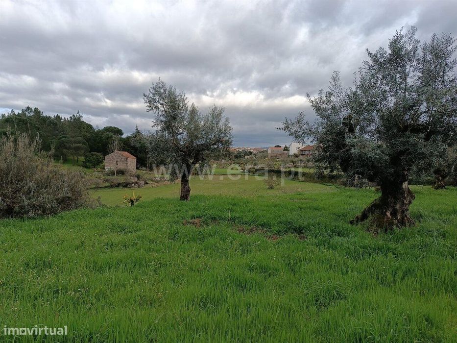 Terreno / Seia, Paranhos — Paranhos, Guarda