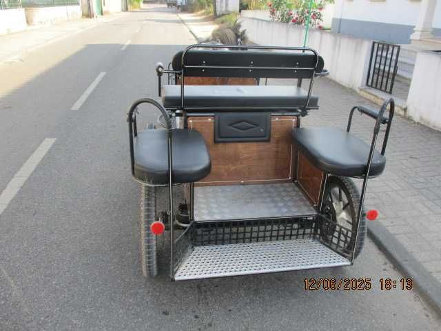 vendo pónei e charrete