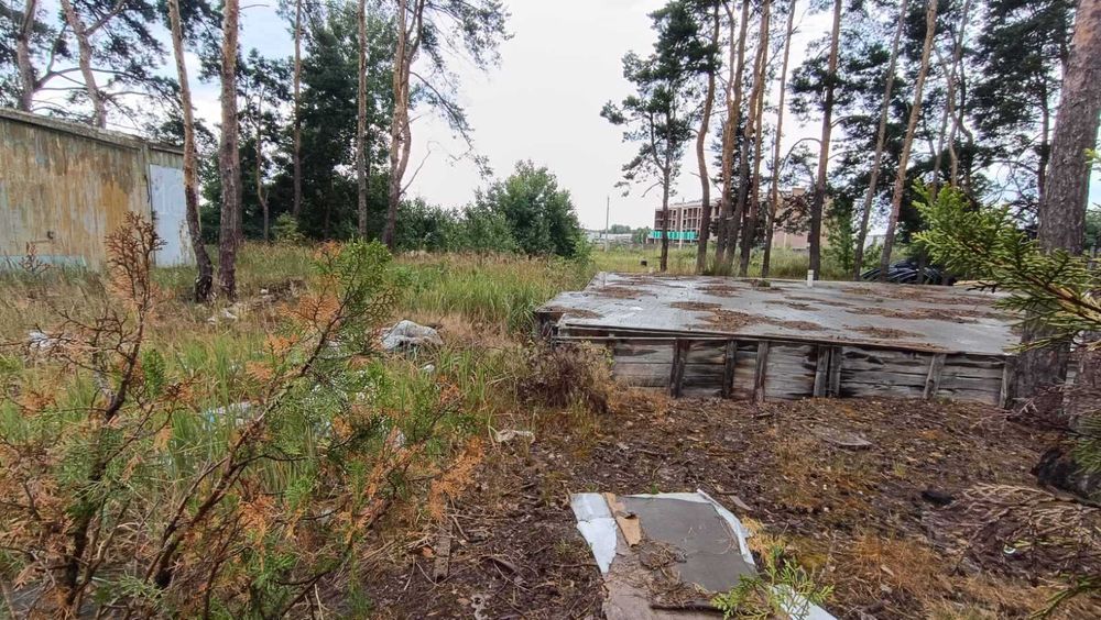 Ділянка серед сосен, 8 соток, нові будинки.