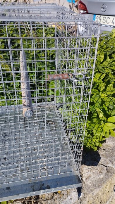 Viveiro para pássaros