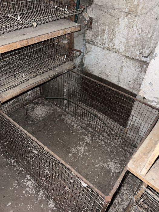 Продам клітки для перепілки